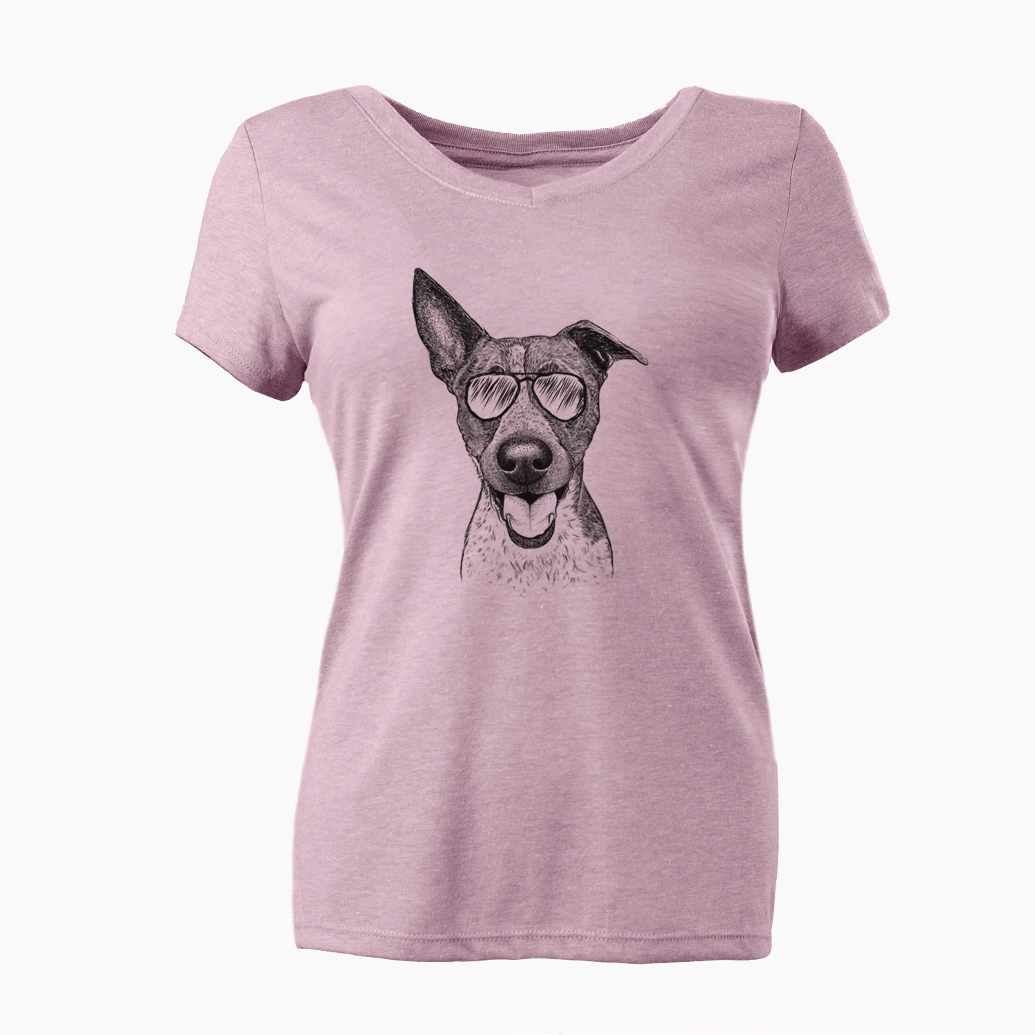Aviator Amigo the Heeler Mix - Women's V-neck Shirt - Image 6