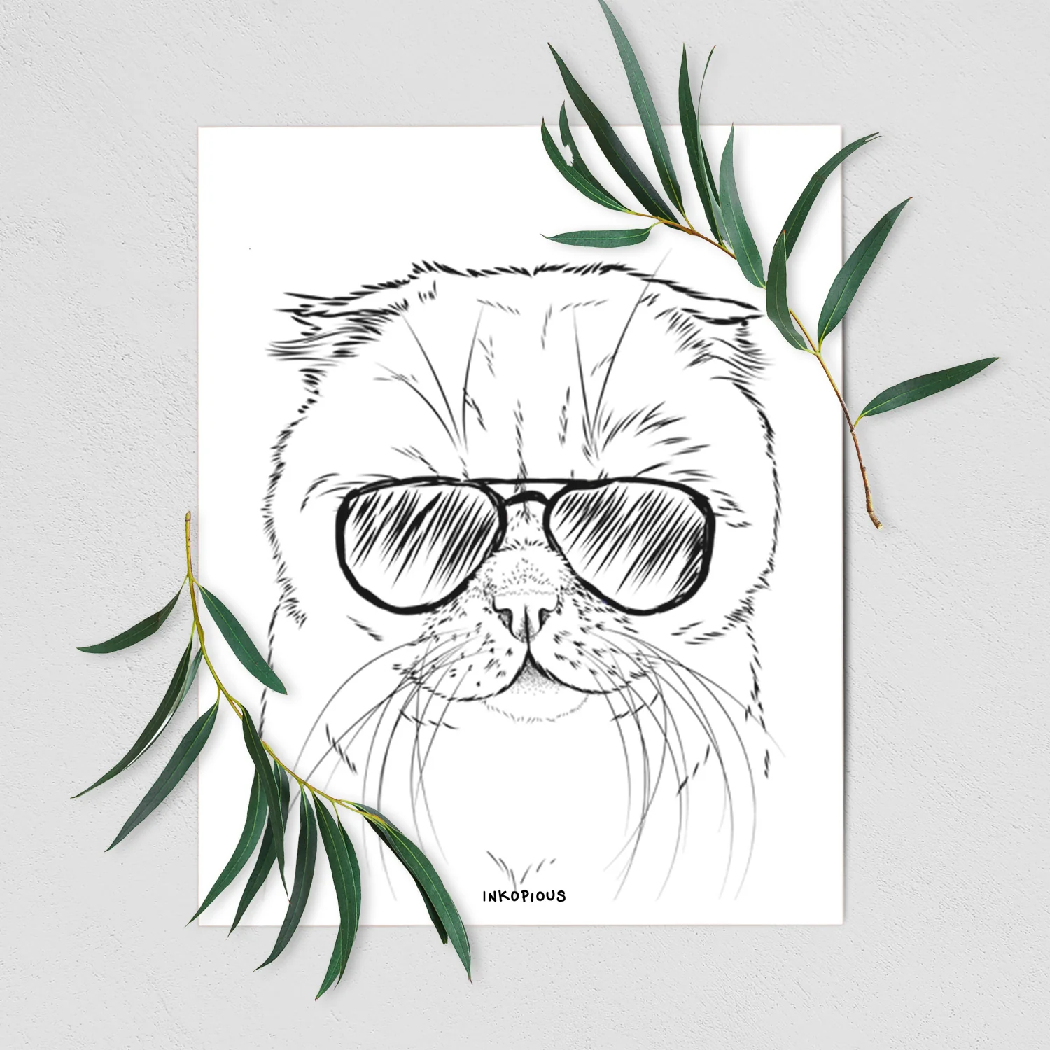 Lina the Exotic Fold Cat Art Print - Image 3